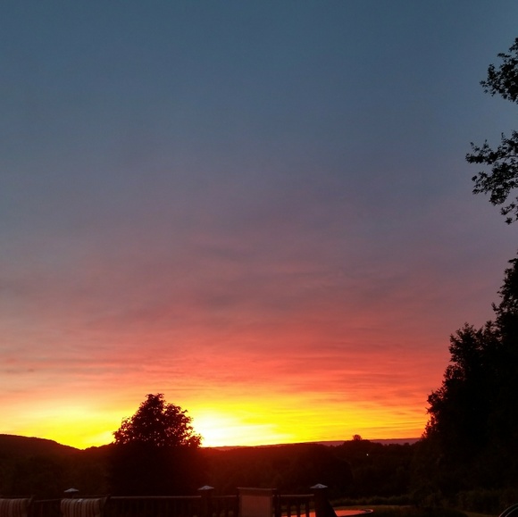 Meet your Posher, Susan - Picture 5 of 5